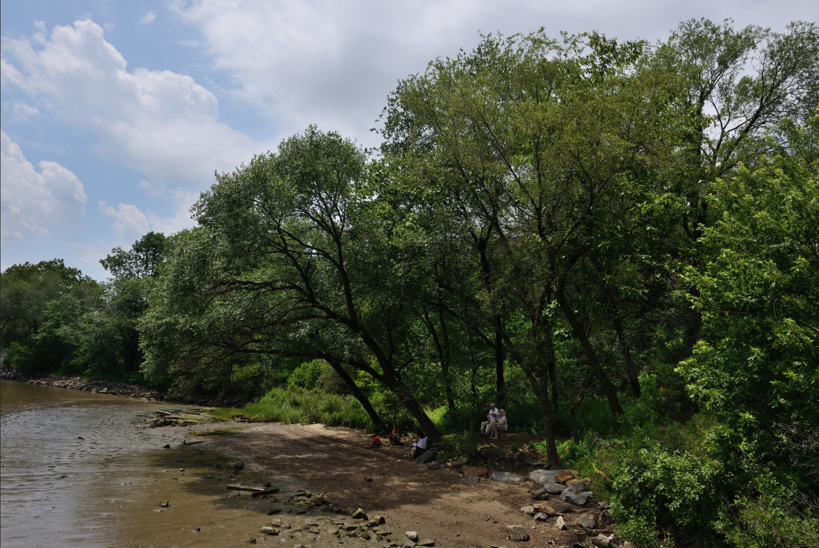 Swindler Cove Park’s small beach is visited by birds and humans alike. Photo: <a href=\"https://www.flickr.com/photos/edcnyc/\" target=\"_blank\">Eddie Crimmins</a>