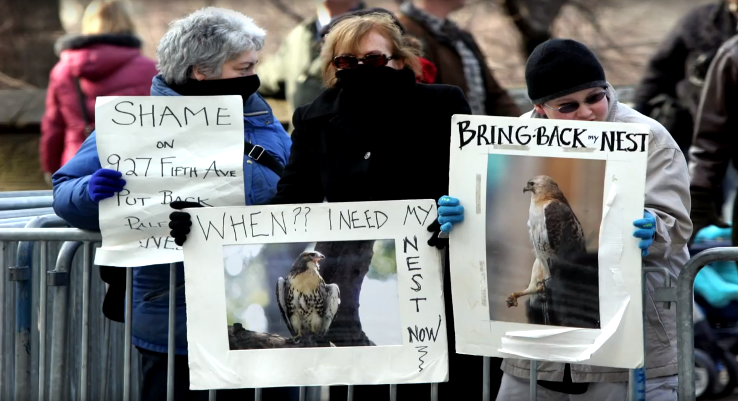 Protestors defend the interests of Pale Male and Lola, December 2004. Photo: NYC Audubon