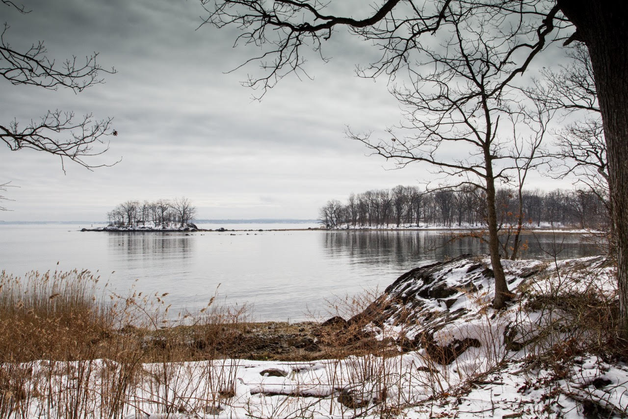 Winter ducks congregate in the waters of Pelham Bay, seen here from Hunter Island. Two Tree Island and Twin Island are visible, from left to right. Photo: <a href=\"http://www.cityislandbirds.com\" target=\"_blank\">Jack Rothman</a>