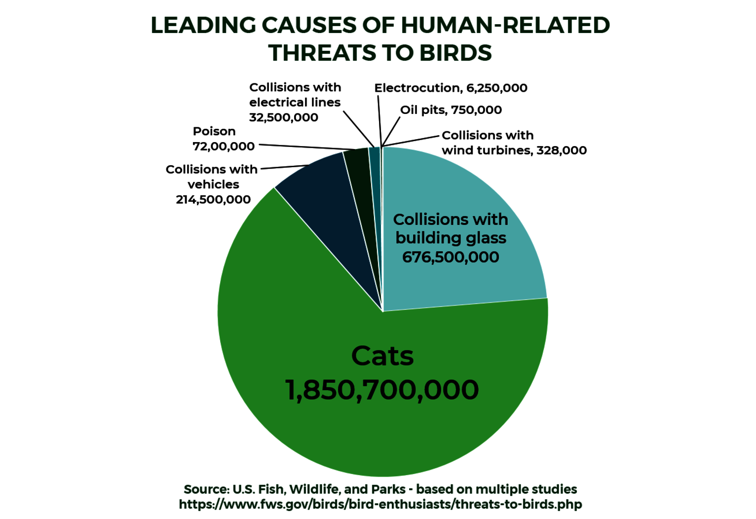 Leading causes of human-related threats to birds: Domestic cats are the biggest source of mortality, followed by collisions with building glass and collisions with vehicles. Graphic: NYC Audubon