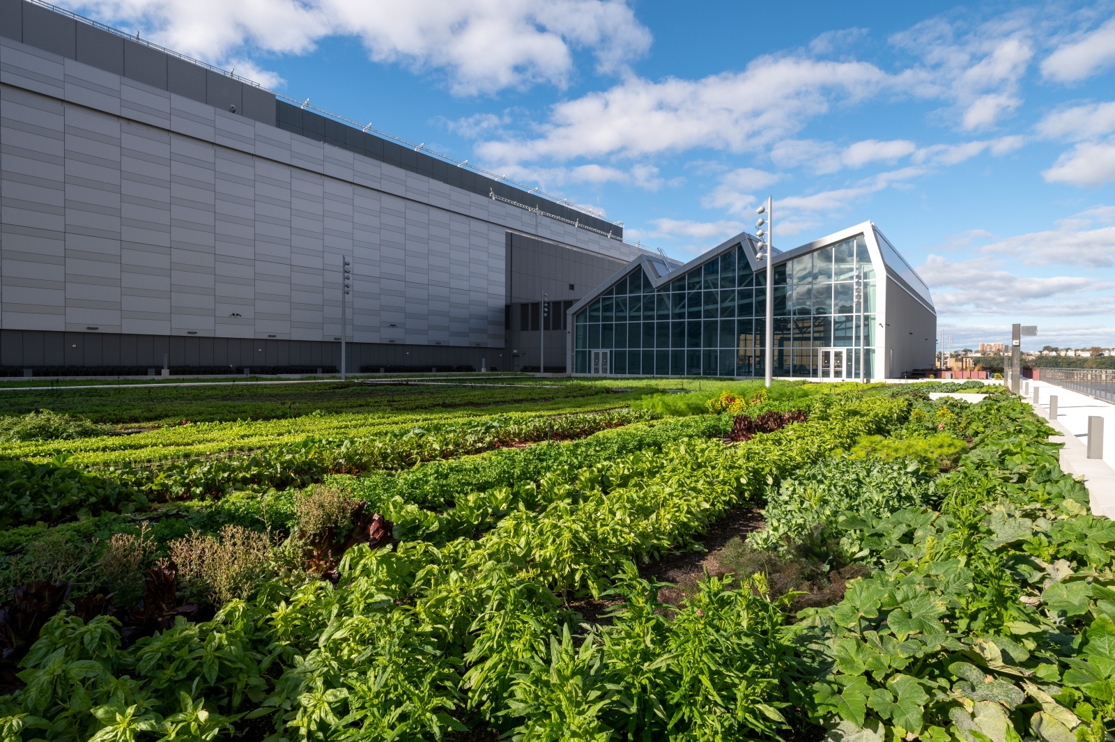 The newest section of the Javits Center’s green roof includes a farm and orchard, providing both locally grown produce and wildlife habitat. Photo: Javits Center