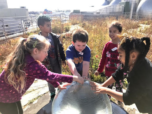 A group of students gather around the bird fountain atop Kingsland Wildflowers at Broadway Stages. Photo: Newtown Creek Alliance