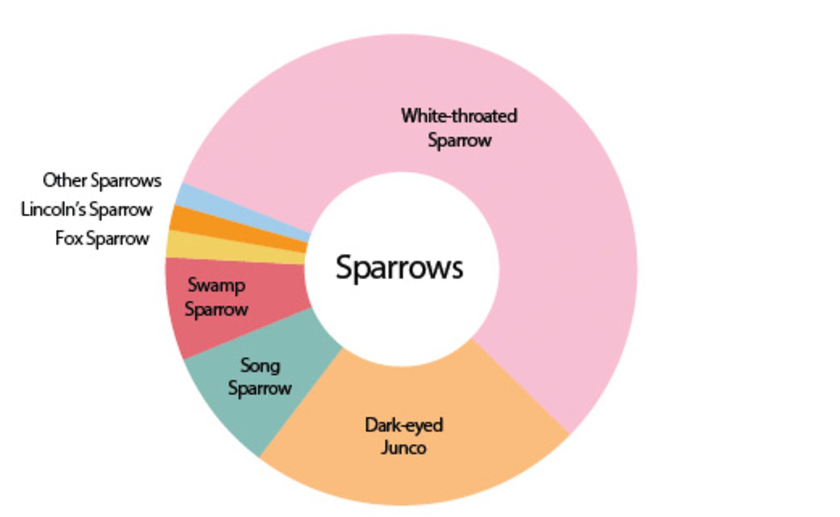 Sparrow collision victims in New York City since 1997, by species. Graphic: NYC Audubon