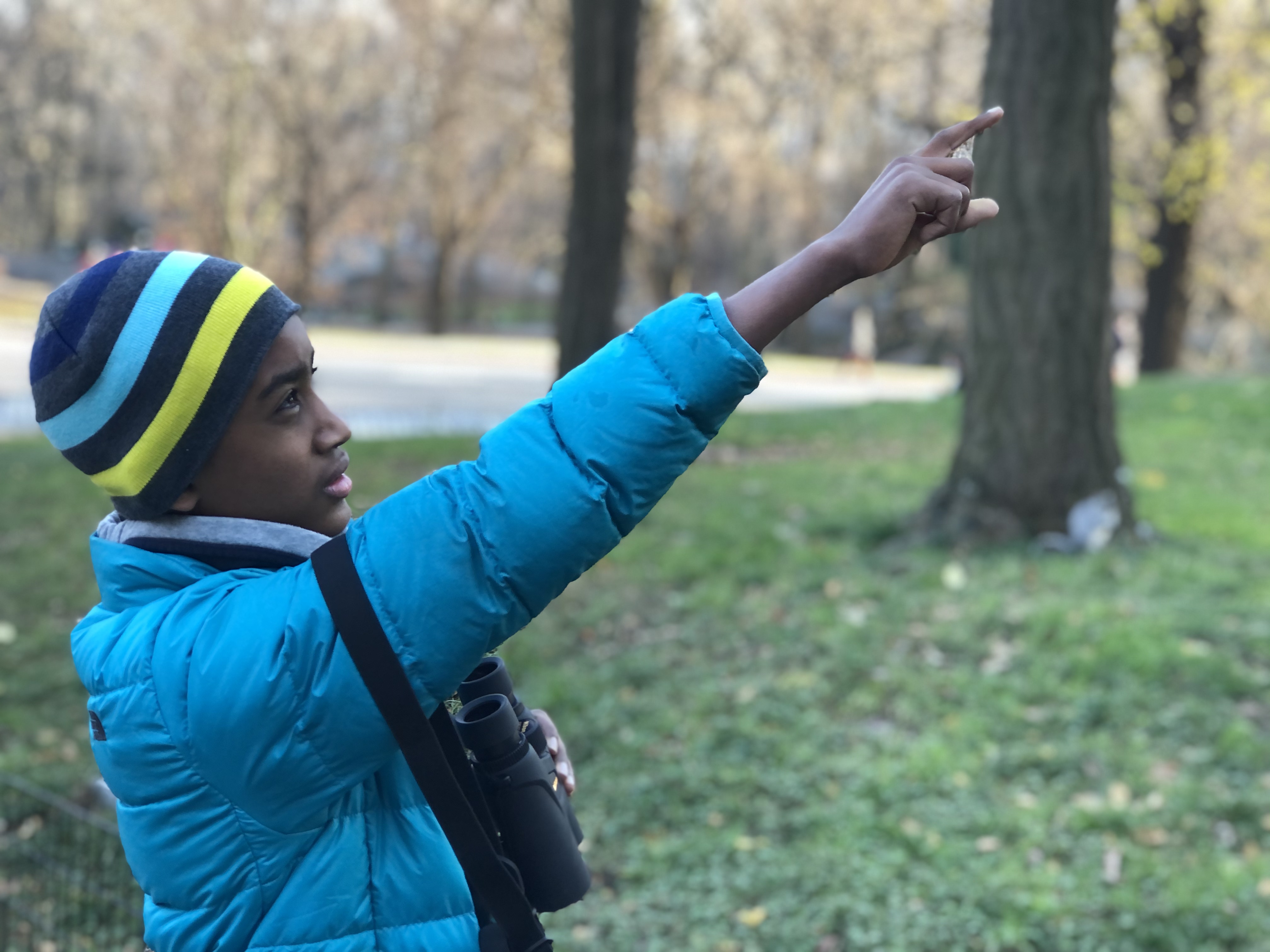 Tam Gavenas became a NYC Audubon KIDS Member as soon as he could: he received his member certificate as a present on his eighth birthday. Photo: M. Gavenas