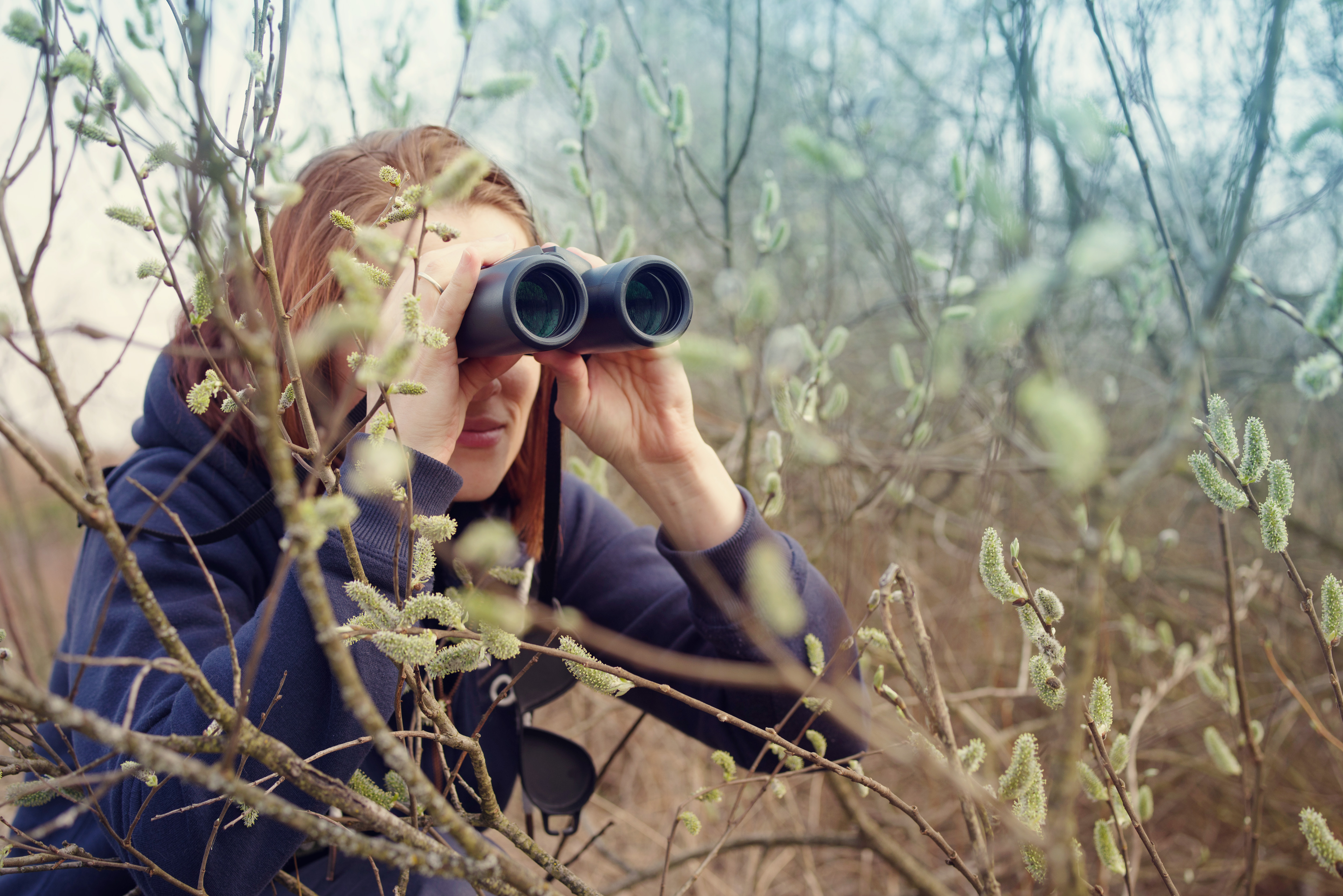 The great popularity of birding in NYC requires some special consideration for the benefit of both birds and fellow birders. Photo: Savitskaya Iryna/Shutterstock