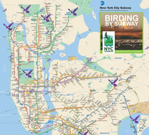 Map of birding hotspots accessible by public transportation. Map courtesy of Metropolitan Transit Authority