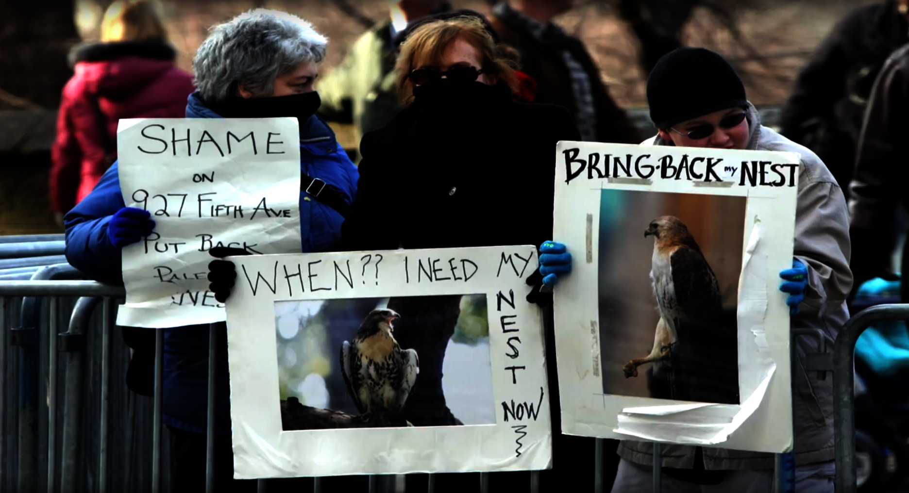 Protestors defend the interests of Pale Male and Lola, December 2004. Photo: NYC Audubon