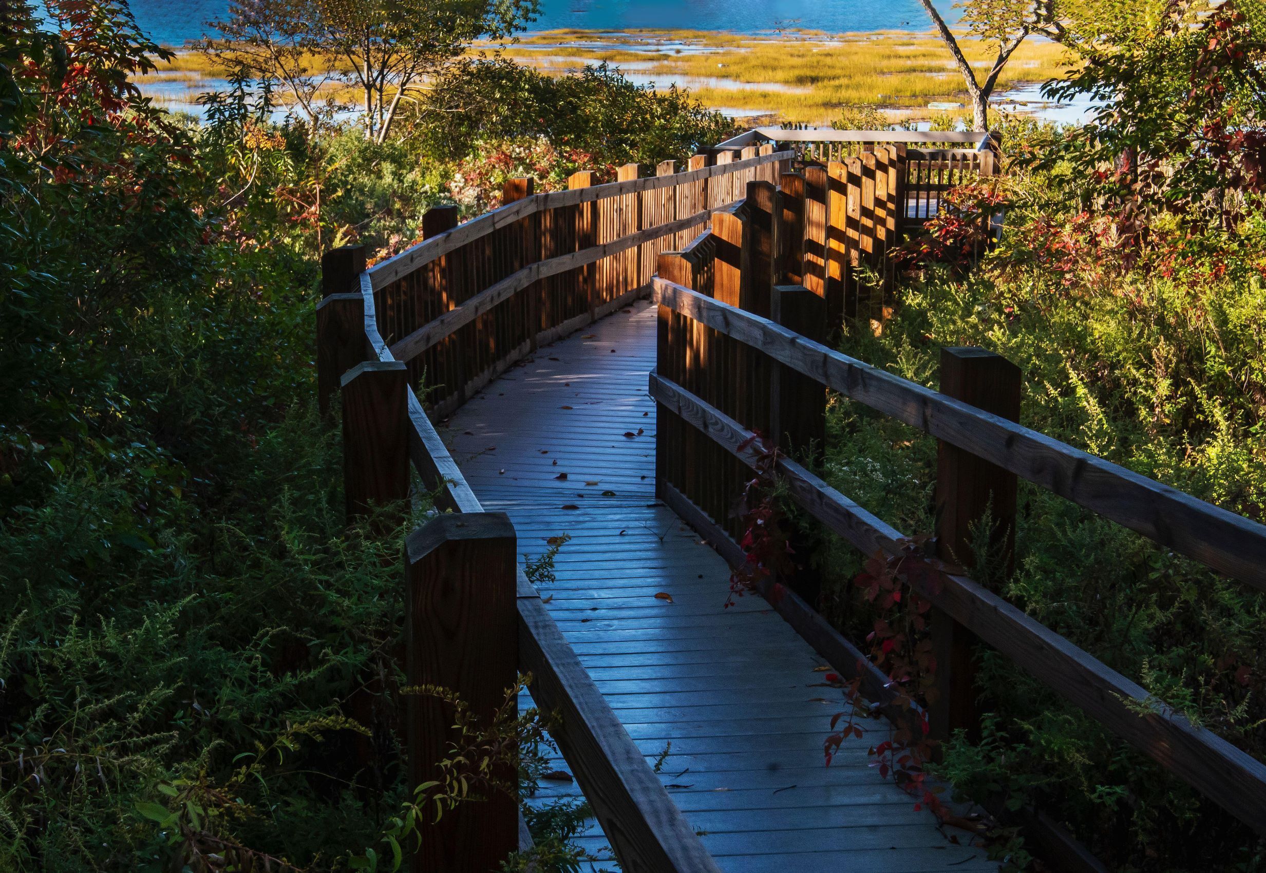 The new viewing boardwalk by Jamaica Bay Wildlife Refuge Center’s Visitor Center is a good example of accessible park planning. Photo: Johann Schumacher/Alamy Stock Photo
