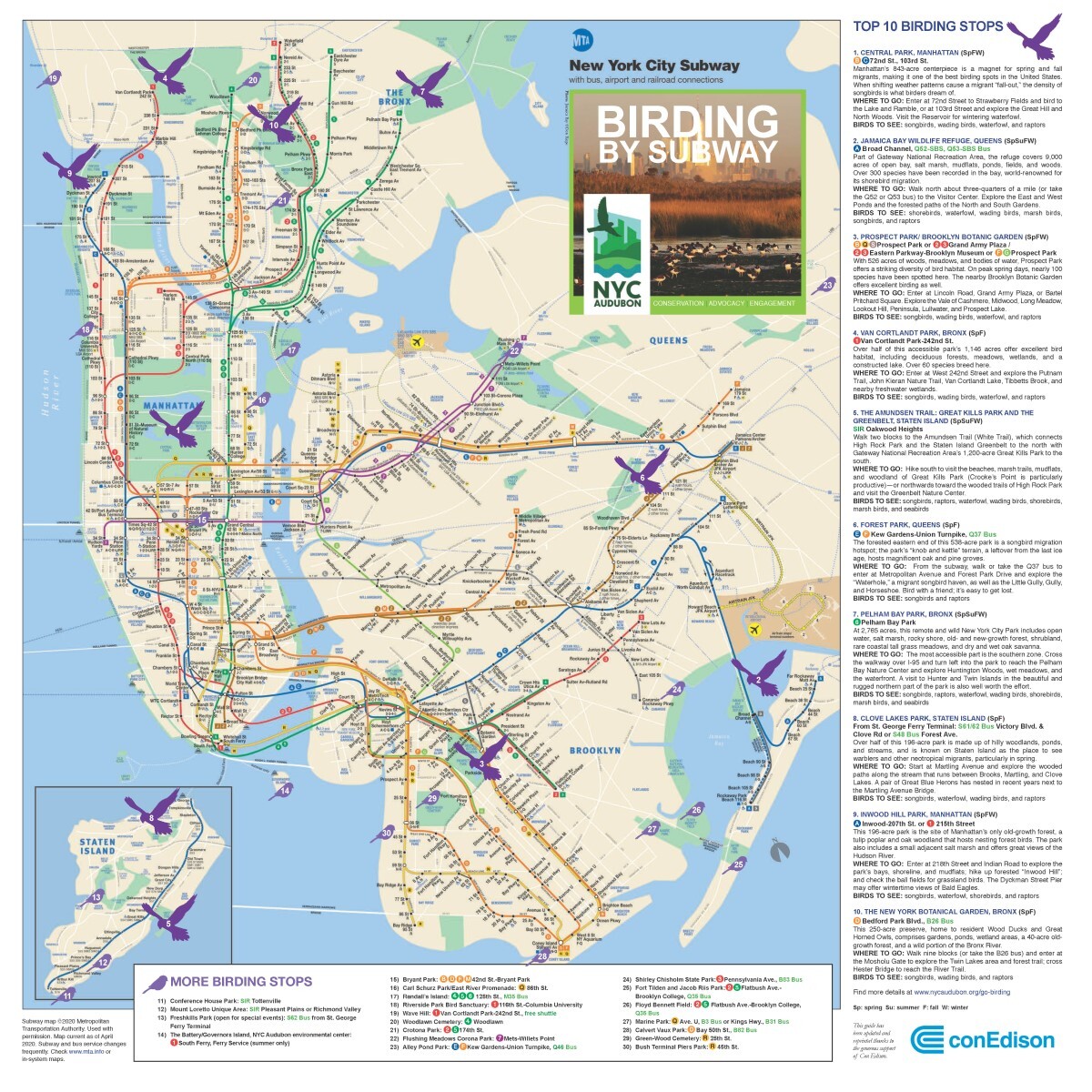 Birding by Subway features accessible hotspots across the City