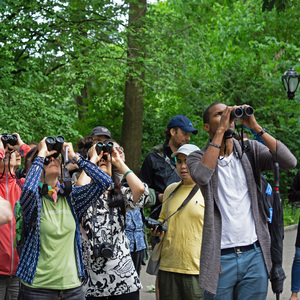 "Let’s Go Birding Together" Walk, Central Park, 2018. Photo: NYC Audubon
