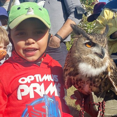 A Eurasian Hawk Owl visits Raptorama 2021. Photo: Don Riepe