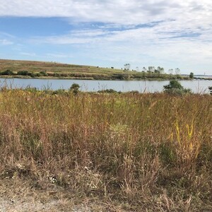 Shirley Chisholm State Park offers a variety of habitat including grasslands, tidal creeks, marsh, and beach. Photo: Karen Benfield