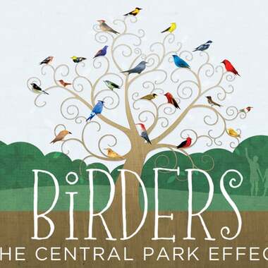 Artwork for Birders: The Central Park Effect, courtesy of Music Box Films