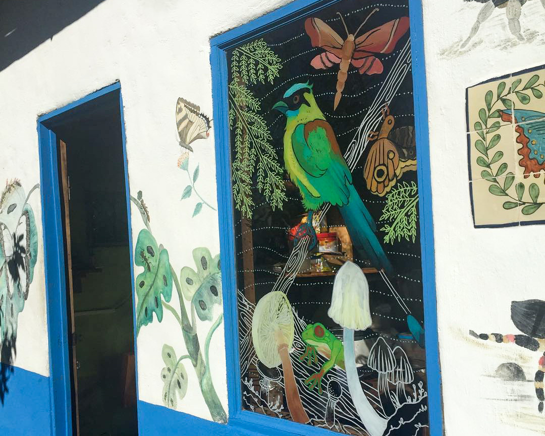 Creating mural decorations on your windows is a fun way to deter bird collisions! Photo: American Bird Conservancy