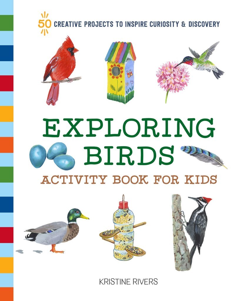 Exploring Birds Activity Book for Birds