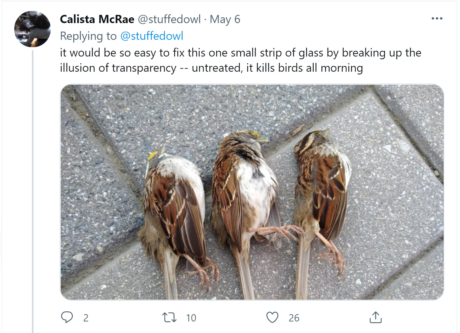 Social media posts from Project Safe Flight volunteers Calista McRae and Melissa Breyer in May 2021 brought attention to the bird-killing glass railing of Manhattan’s Liberty Park.