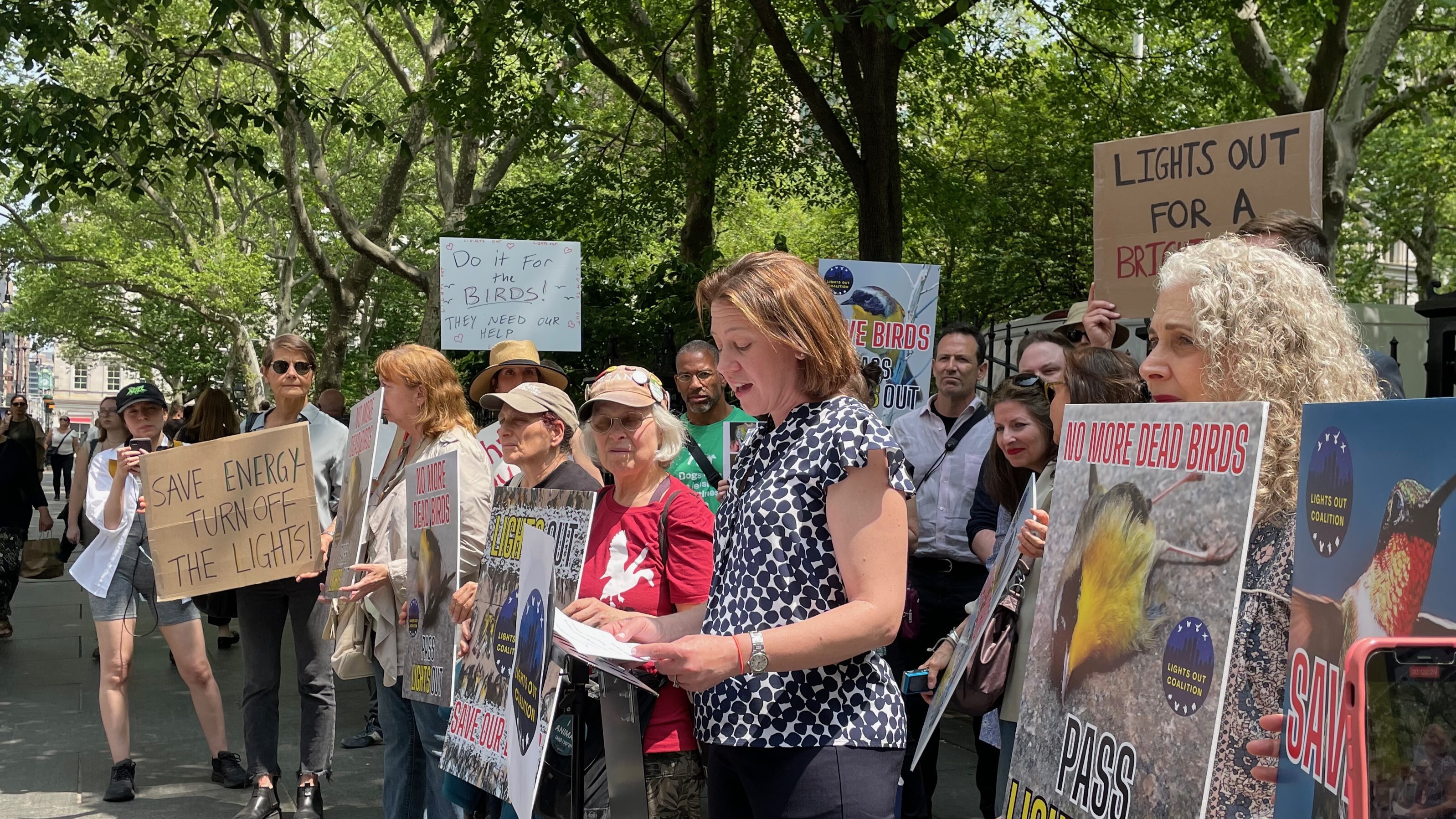 NYC Audubon Executive Director Jessica Wilson speaks at a rally outside City Hall in support of Lights Out legislation, Int. 1039, on May 11, 2023. Photo: NYC Audubon