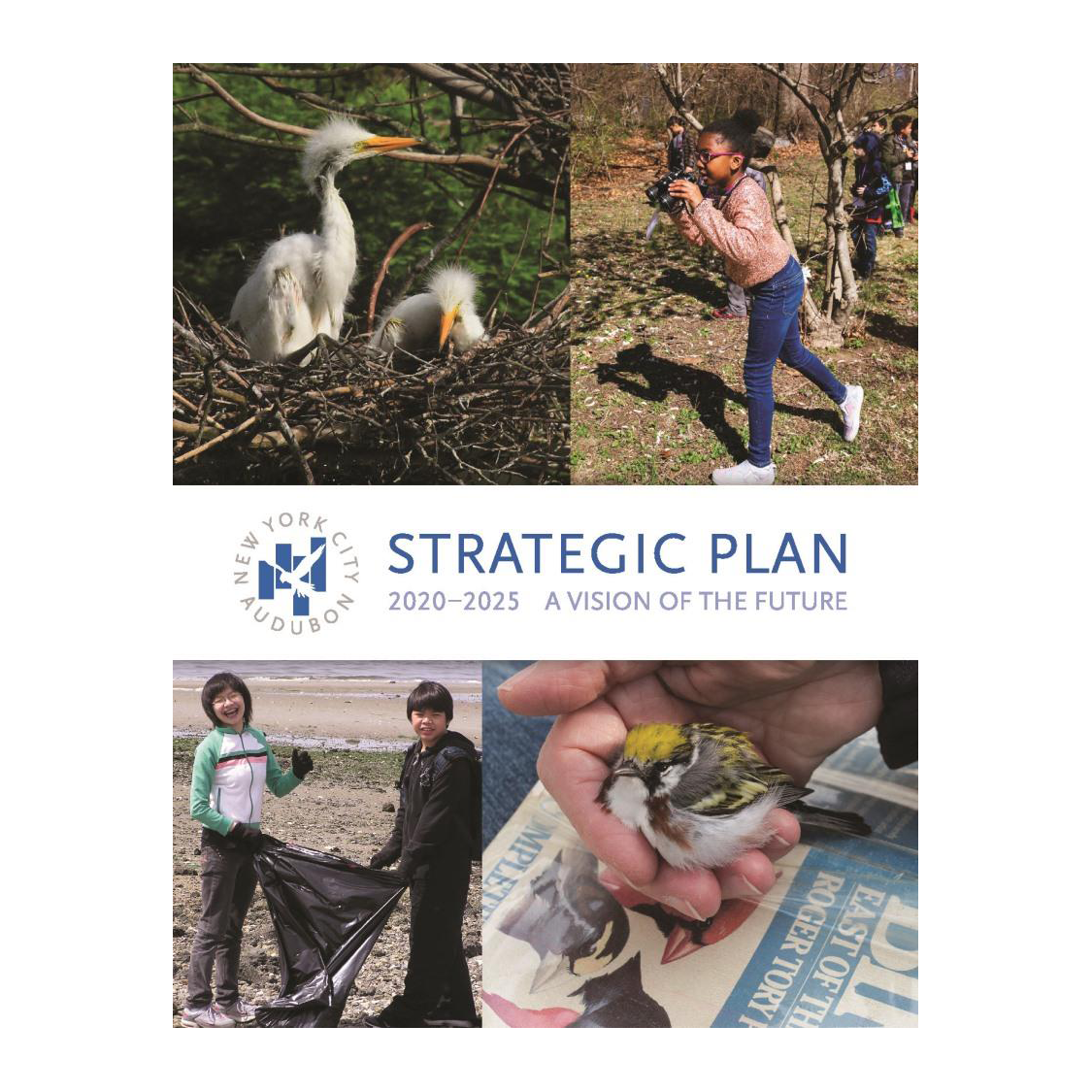 Strategic Plan, 2020-2025: A Vision for the Future