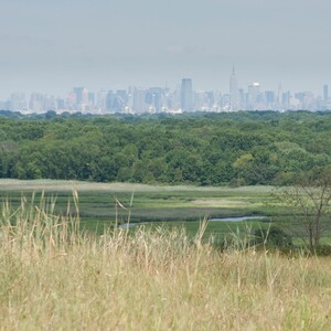 Staten Island’s Freshkills Park includes varied types of habitat including grasslands, wetlands, and woodlands. <a href="https://www.flickr.com/photos/jamesdunham/4851231192/" target="_blank" >Photo</a>: James Dunham/<a href="https://creativecommons.org/licenses/by-sa/2.0/" target="_blank" >CC BY-SA 2.0</a>