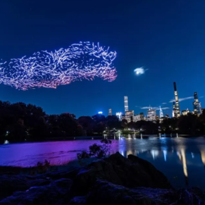 “Franchise Freedom,” a drone light show featuring 1,000 light-bearing drones, illuminates the New York City skyline. Photo: Arjen Van Eijk