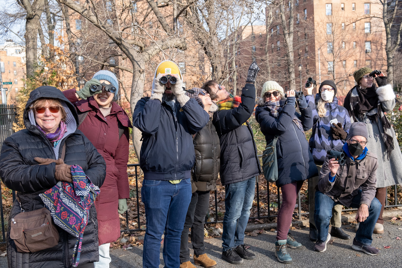 Christmas Bird Count in the Lower East Side, Manhattan (December 18, 2022). Photo: Pat Arnow