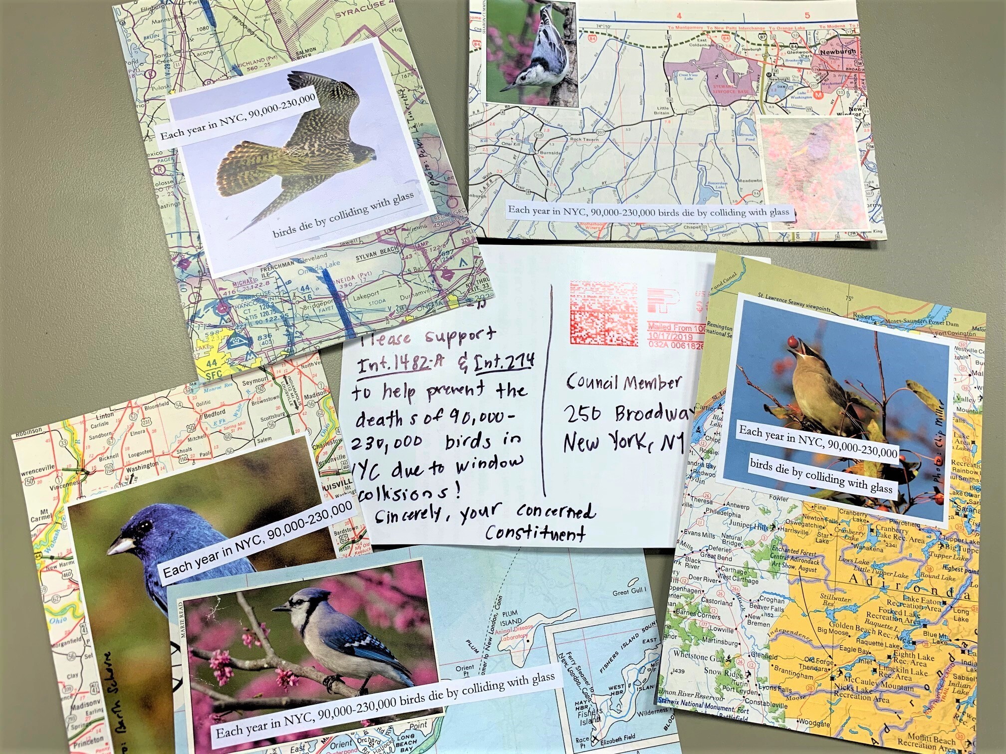 Postcards to government officials were part of NYC Audubon’s successful advocacy for bird-friendly building legislation in New York City. Photo: NYC Audubon